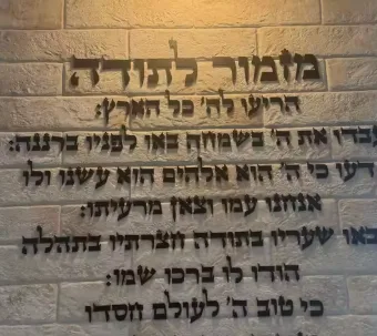 תמונה משירה מזרחי